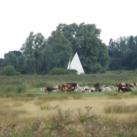 Charming Woodland Lodge 2 Person 1 Bedroom Great Yarmouth Eksteriør billede